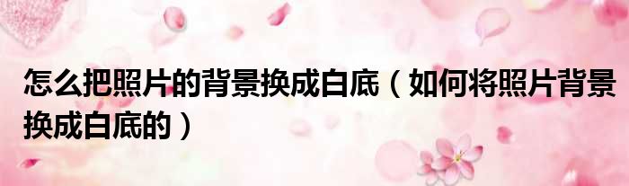 怎么把照片的背景换成白底（如何将照片背景换成白底的）