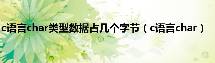 c语言char类型数据占几个字节（c语言char）