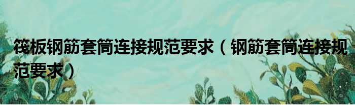 筏板钢筋套筒连接规范要求（钢筋套筒连接规范要求）
