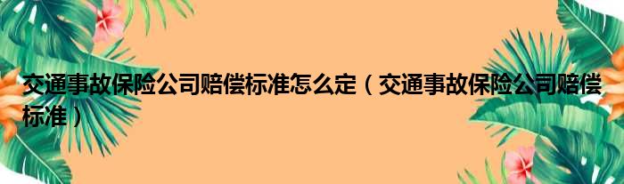 交通事故保险公司赔偿标准怎么定（交通事故保险公司赔偿标准）