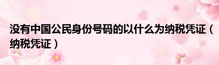 没有中国公民身份号码的以什么为纳税凭证（纳税凭证）
