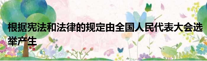 根据宪法和法律的规定由全国人民代表大会选举产生