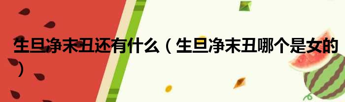 生旦净末丑还有什么（生旦净末丑哪个是女的）