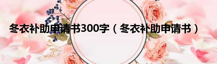 冬衣补助申请书300字（冬衣补助申请书）