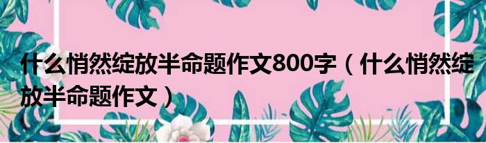 什么悄然绽放半命题作文800字（什么悄然绽放半命题作文）