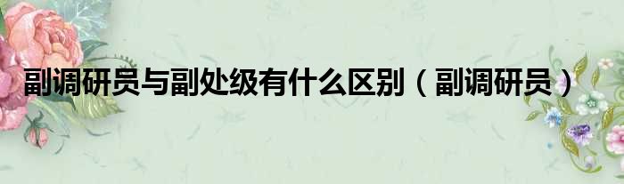 副调研员与副处级有什么区别（副调研员）