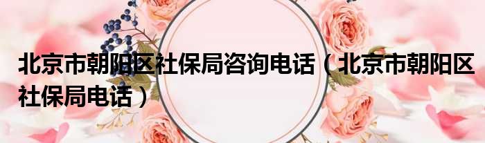 北京市朝阳区社保局咨询电话（北京市朝阳区社保局电话）