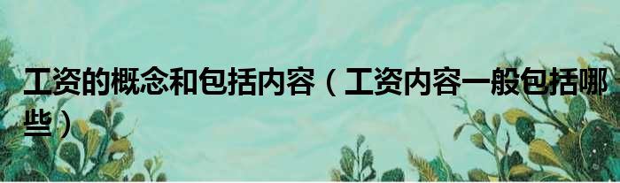 工资的概念和包括内容（工资内容一般包括哪些）