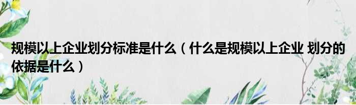 规模以上企业划分标准是什么（什么是规模以上企业 划分的依据是什么）