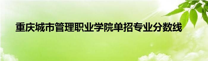 重庆城市管理职业学院单招专业分数线