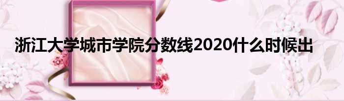 浙江大学城市学院分数线2020什么时候出