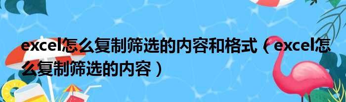 excel怎么复制筛选的内容和格式（excel怎么复制筛选的内容）