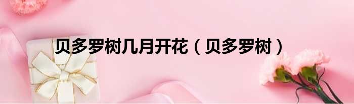贝多罗树几月开花（贝多罗树）