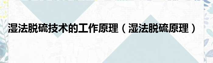 湿法脱硫技术的工作原理（湿法脱硫原理）