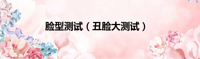 脸型测试（丑脸大测试）