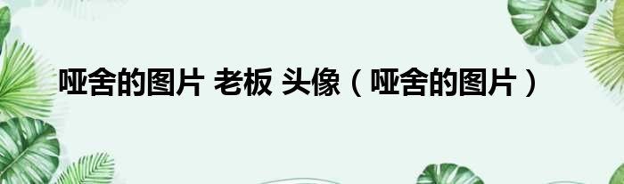 哑舍的图片 老板 头像（哑舍的图片）