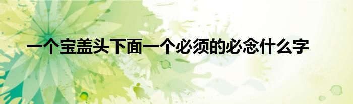 一个宝盖头下面一个必须的必念什么字