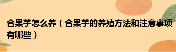 合果芋怎么养（合果芋的养殖方法和注意事项有哪些）