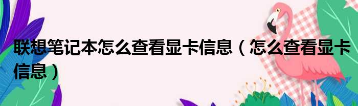 联想笔记本怎么查看显卡信息（怎么查看显卡信息）