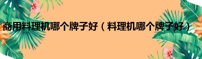 商用料理机哪个牌子好（料理机哪个牌子好）