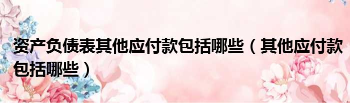 资产负债表其他应付款包括哪些（其他应付款包括哪些）