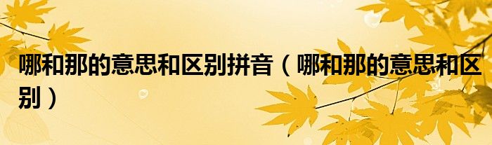哪和那的意思和区别拼音（哪和那的意思和区别）