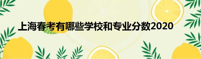上海春考有哪些学校和专业分数2020