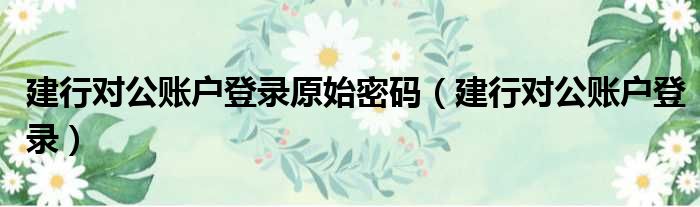 建行对公账户登录原始密码（建行对公账户登录）
