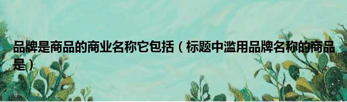 品牌是商品的商业名称它包括（标题中滥用品牌名称的商品是）