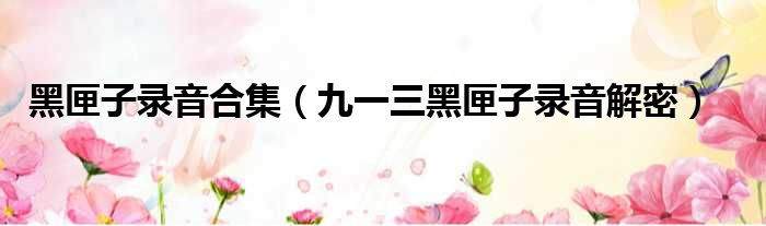 黑匣子录音合集（九一三黑匣子录音解密）