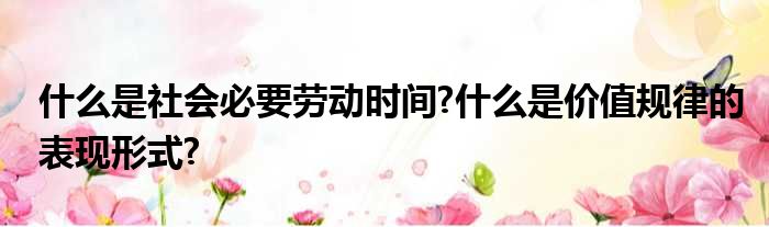 什么是社会必要劳动时间?什么是价值规律的表现形式?