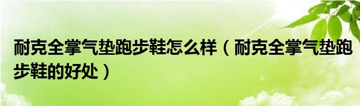 耐克全掌气垫跑步鞋怎么样（耐克全掌气垫跑步鞋的好处）