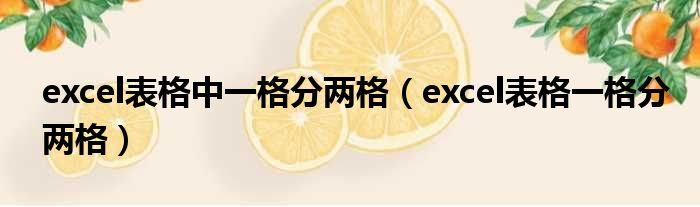 excel表格中一格分两格（excel表格一格分两格）