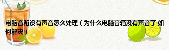电脑音箱没有声音怎么处理（为什么电脑音箱没有声音了 如何解决）