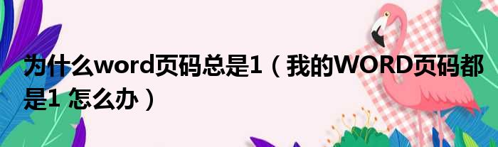 为什么word页码总是1（我的WORD页码都是1 怎么办）