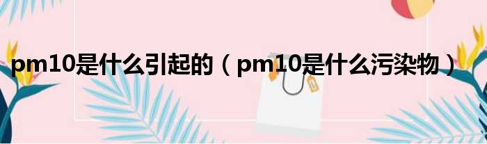 pm10是什么引起的（pm10是什么污染物）