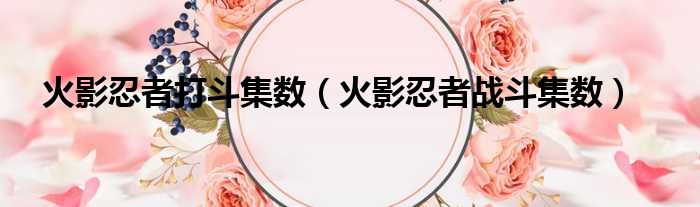 火影忍者打斗集数（火影忍者战斗集数）