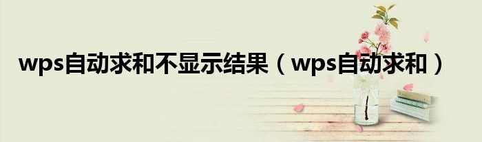 wps自动求和不显示结果（wps自动求和）