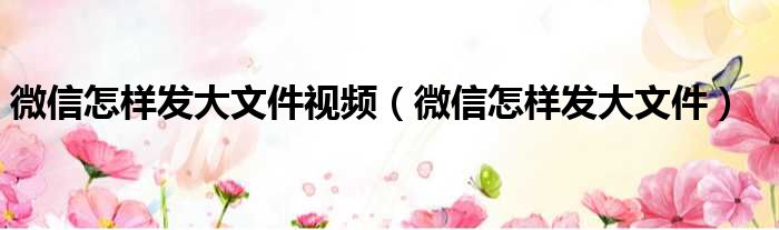 微信怎样发大文件视频（微信怎样发大文件）