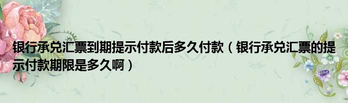 银行承兑汇票到期提示付款后多久付款（银行承兑汇票的提示付款期限是多久啊）