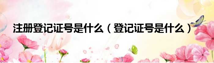 注册登记证号是什么（登记证号是什么）