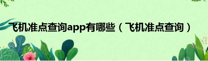 飞机准点查询app有哪些（飞机准点查询）