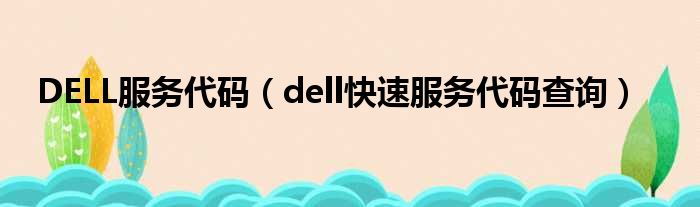 DELL服务代码（dell快速服务代码查询）