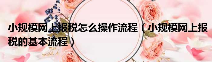 小规模网上报税怎么操作流程（小规模网上报税的基本流程）