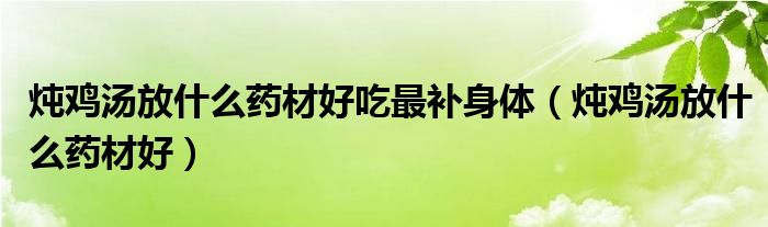 炖鸡汤放什么药材好吃最补身体（炖鸡汤放什么药材好）