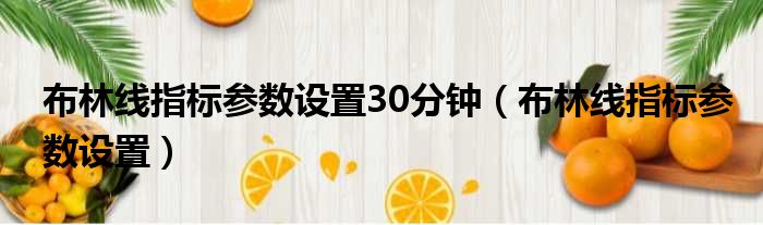 布林线指标参数设置30分钟（布林线指标参数设置）