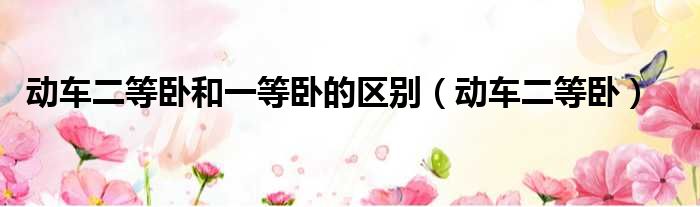 动车二等卧和一等卧的区别（动车二等卧）