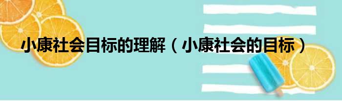 小康社会目标的理解（小康社会的目标）