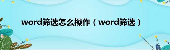 word筛选怎么操作（word筛选）