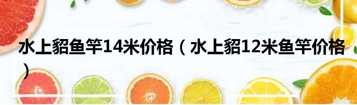 水上貂鱼竿14米价格（水上貂12米鱼竿价格）